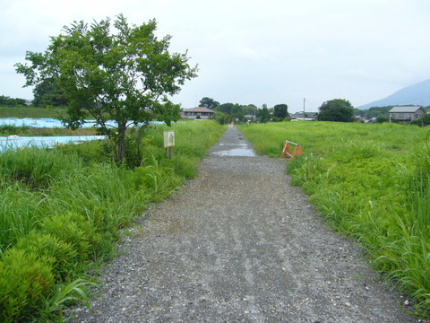 201108tsukuba044