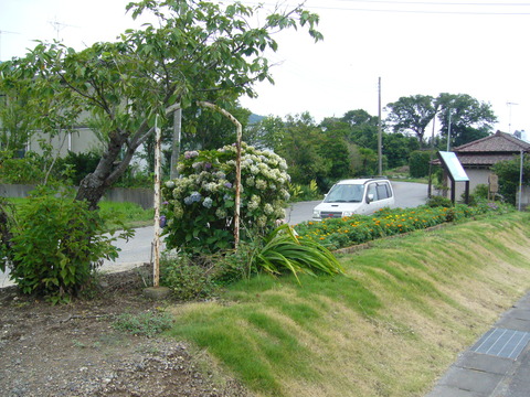 201108tsukuba066酒寄