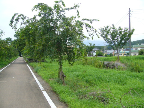 201108tsukuba047小田駅