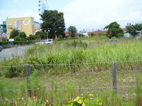 201407shimizusamukawa025