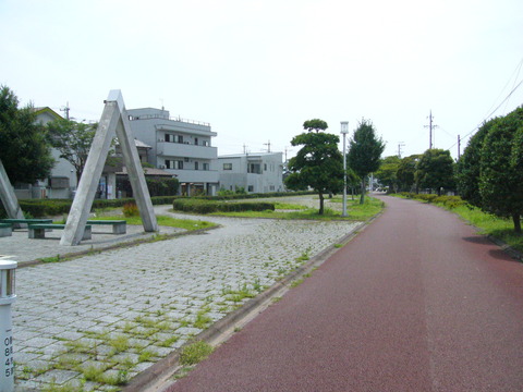 201407shimizusamukawa057