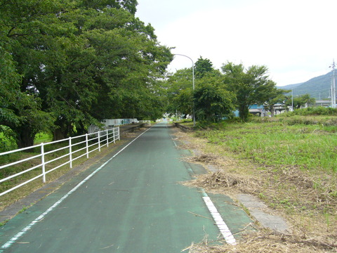 201108tsukuba076樺穂