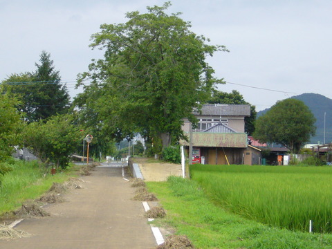 201108tsukuba080東飯田