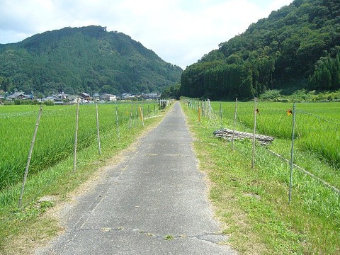 201307osakakyuu218