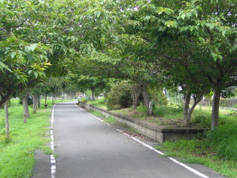 201108tsukuba048北条駅