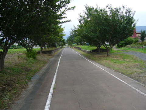 201108tsukuba069紫尾